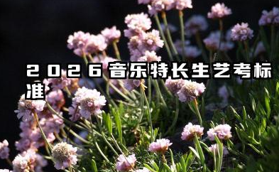 2026音乐特长生艺考标准 音乐特长生艺考的备考要点