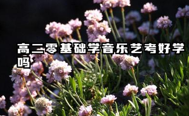 高二零基础学音乐艺考好学吗 2026高二零基础音乐艺考怎么备考