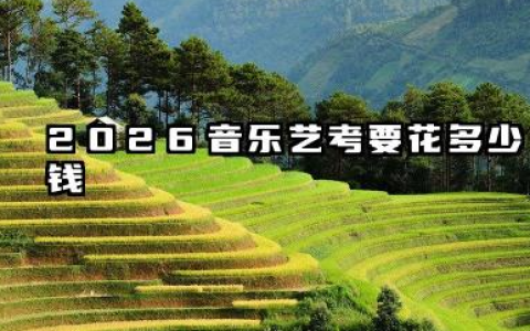音乐艺考要花多少钱 2026年音乐艺考考试费用