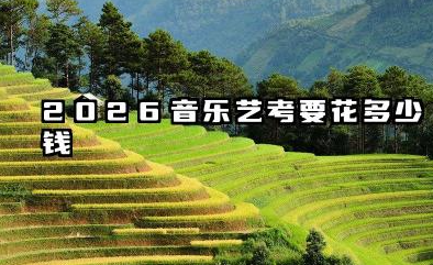 音乐艺考要花多少钱 2026年音乐艺考考试费用