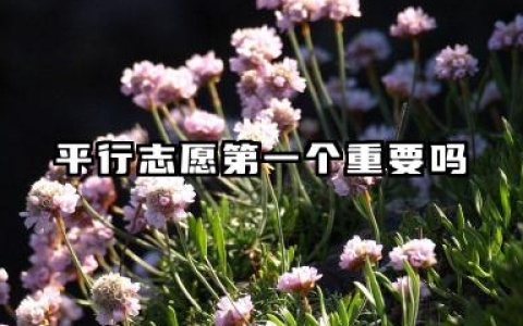 平行志愿第一个重要吗 2026滑档了还有学校上吗