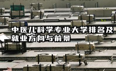 中医儿科学专业大学排名及就业方向与前景 2026全国十大院校推荐