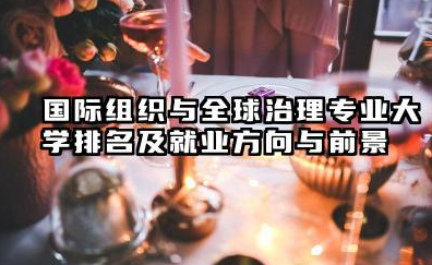 国际组织与全球治理专业大学排名及就业方向与前景 2026国际组织与全球治理专业大学有哪些推荐