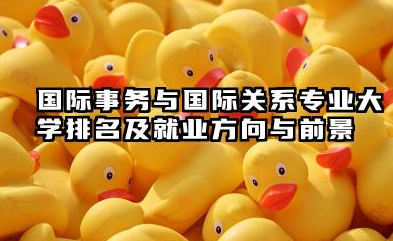 国际事务与国际关系专业大学排名及就业方向与前景 2026全国十大院校推荐