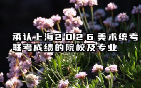 2026承认上海美术统考/联考成绩的院校及专业 上海2026美术统考录取要求