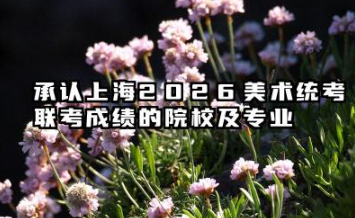 2026承认上海美术统考/联考成绩的院校及专业 上海2026美术统考录取要求