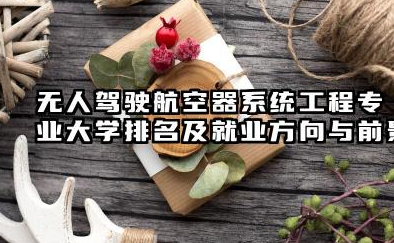 无人驾驶航空器系统工程专业大学排名及就业方向与前景 2026无人驾驶航空器系统工程专业大学推荐名单