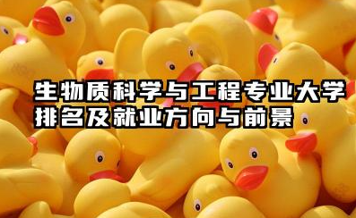 生物质科学与工程专业大学排名及就业方向与前景 2026生物质科学与工程专业大学推荐