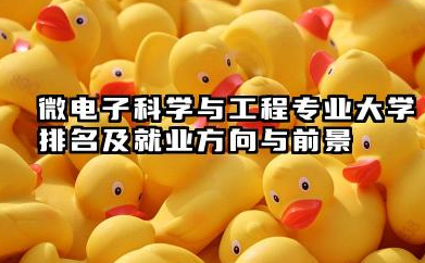 微电子科学与工程专业大学排名及就业方向与前景 2026微电子科学与工程专业大学推荐