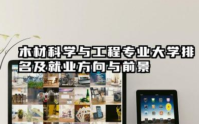 木材科学与工程专业大学排名及就业方向与前景 2026木材科学与工程专业院校名单