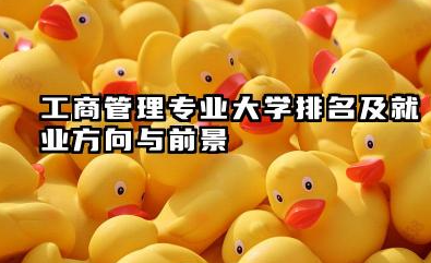 工商管理专业大学排名及就业方向与前景 2026工商管理专业大学排名推荐名单