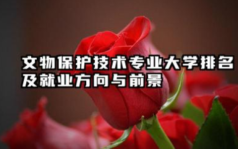 文物保护技术专业大学排名及就业方向与前景 2026文物保护技术专业大学有哪些