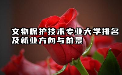 文物保护技术专业大学排名及就业方向与前景 2026文物保护技术专业大学有哪些