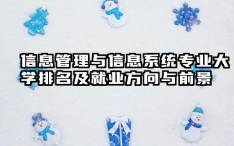 信息管理与信息系统专业大学排名及就业方向与前景 2026信息管理与信息系统专业大学推荐名单
