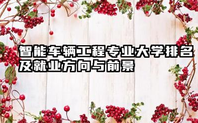 智能车辆工程专业大学排名及就业方向与前景 2026智能车辆工程专业大学推荐