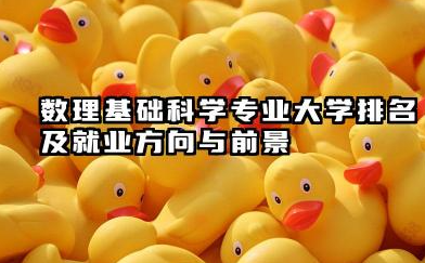 数理基础科学专业大学排名及就业方向与前景 2026数理基础科学专业大学推荐