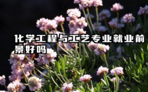 化学工程与工艺就业方向有哪些 2026化学工程与工艺就业方向