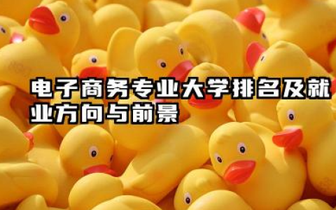 电子商务专业大学排名及就业方向与前景 2026电子商务专业大学排名推荐