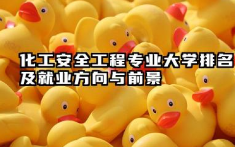 化工安全工程专业大学排名及就业方向与前景 2026化工安全工程专业大学排名推荐
