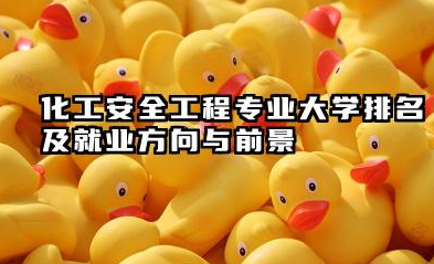 化工安全工程专业大学排名及就业方向与前景 2026化工安全工程专业大学排名推荐