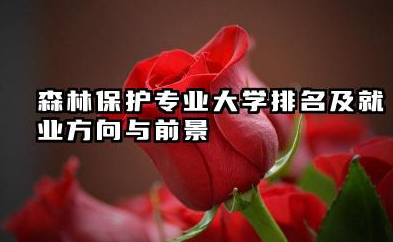 森林保护专业大学排名及就业方向与前景 2026森林保护专业大学排名推荐