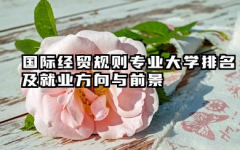 国际经贸规则专业大学排名及就业方向与前景 2026国际经贸规则专业大学排名推荐