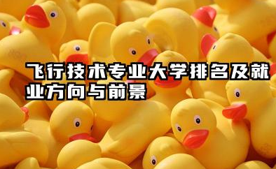 飞行技术专业大学排名及就业方向与前景 2026飞行技术专业大学排名推荐