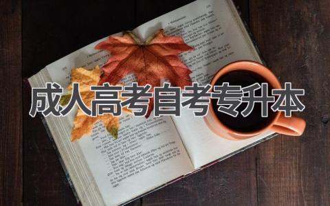 2024年成人高考自考专升本最新报名指南!