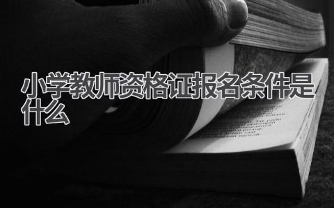 小学教师资格证报考条件及流程