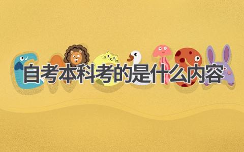 自考本科考的是什么内容?一文解析