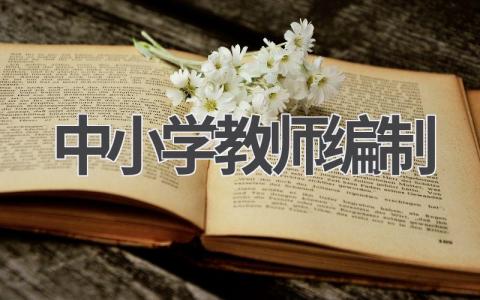 中小学教师编制考试:备考攻略,助你顺利上岸