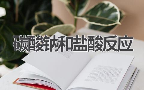 碳酸钠和盐酸反应