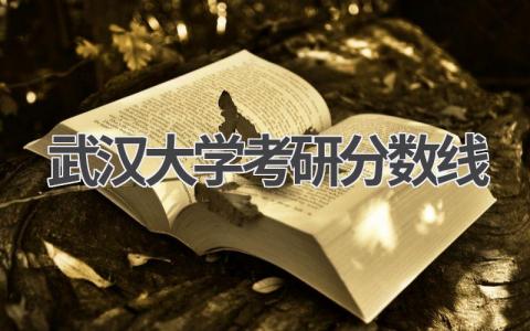 武汉大学考研分数线 备考武汉大学的建议
