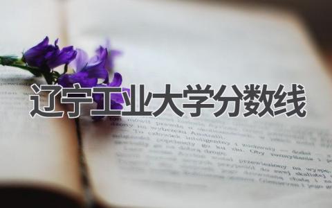 辽宁工业大学分数线2023年 报考辽宁工业大学的建议有哪些