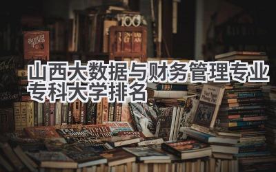 山西大数据与财务管理专业专科大学排名