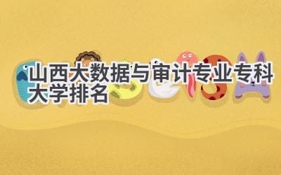 山西大数据与审计专业专科大学排名