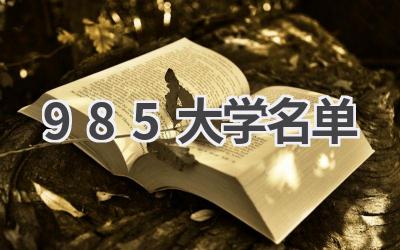 985大学名单