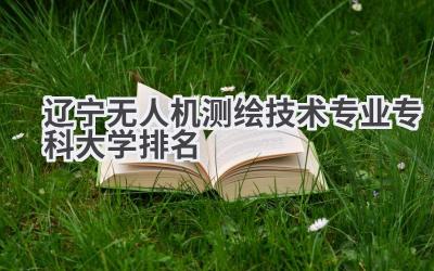 2024辽宁无人机测绘技术专业专科大学排名