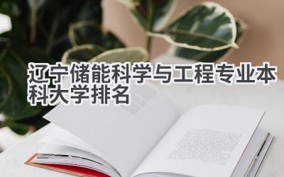 2024辽宁储能科学与工程专业本科大学排名
