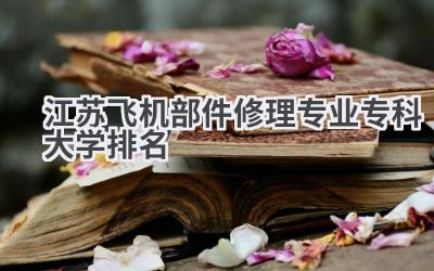 江苏飞机部件修理专业专科大学排名