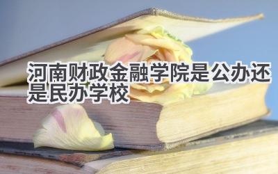 河南财政金融学院是公办还是民办学校