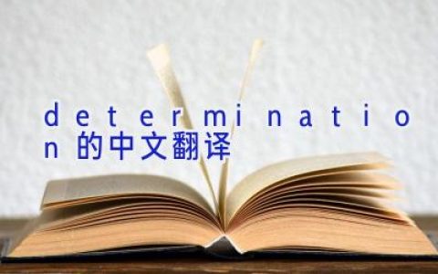 determination的中文翻译