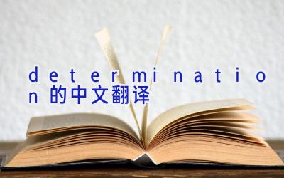 determination的中文翻译