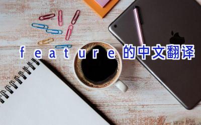 feature的中文翻译