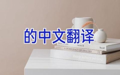 的中文翻译