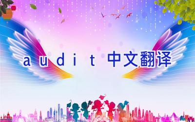 audit中文翻译