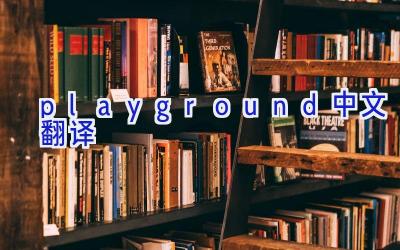 playground中文翻译