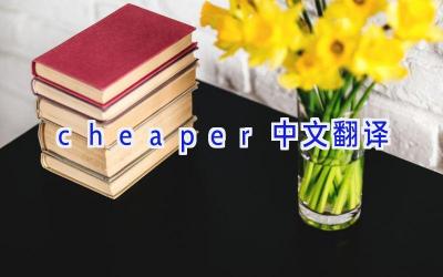 cheaper中文翻译