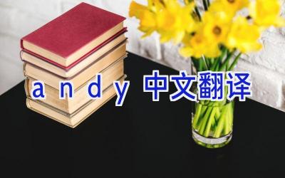 andy中文翻译