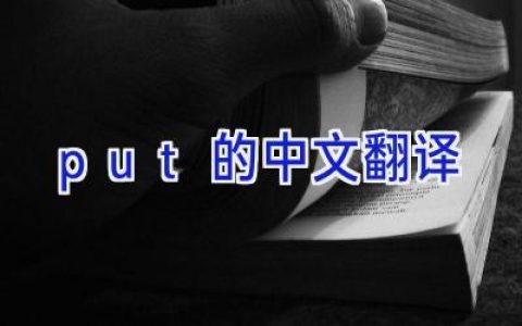put的中文翻译